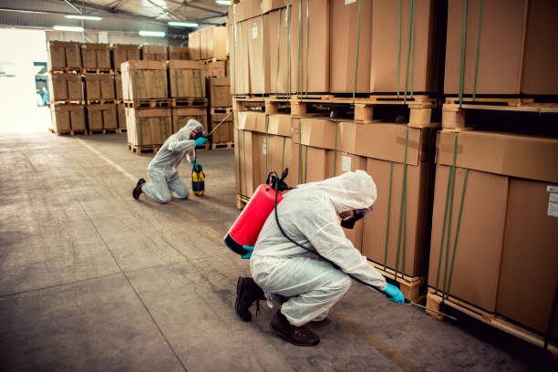 Best Mosquito Control Services  in Manteno, IL