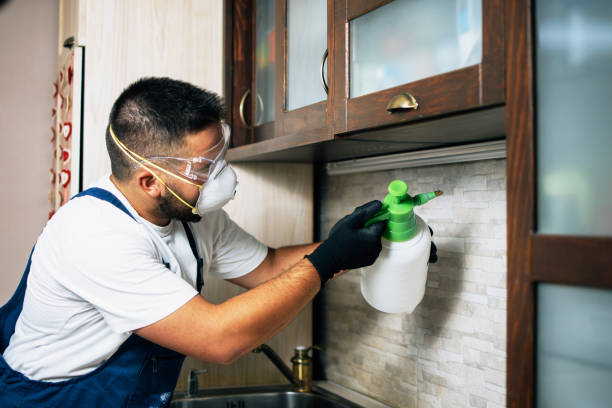 Best Residential Pest Control  in Manteno, IL