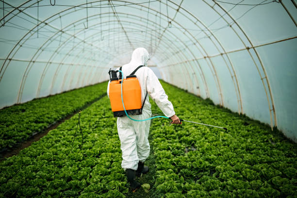 Best Pest Inspection Near Me  in Manteno, IL
