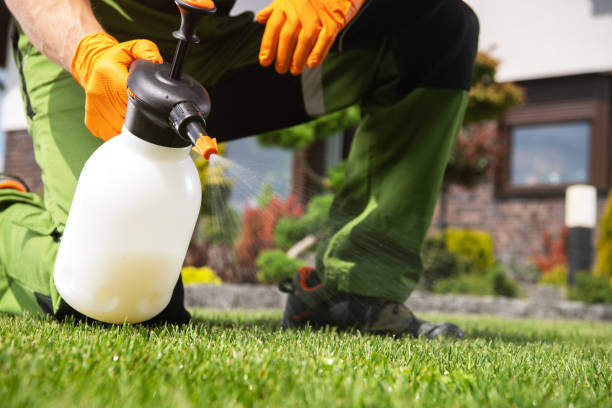 Best Residential Pest Control  in Manteno, IL