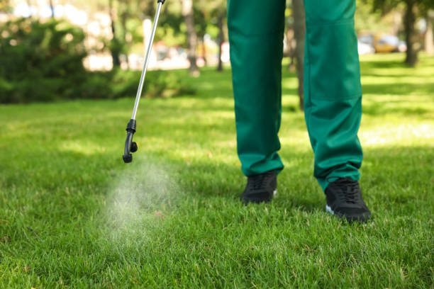 Best Exterminator Services  in Manteno, IL