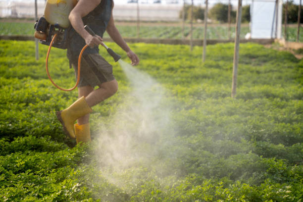 Pest Prevention Services in Manteno, IL