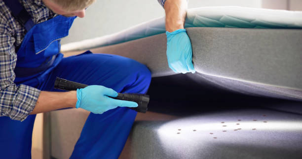 Best Cockroach Control Services  in Manteno, IL