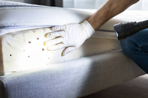 Best Pest Control Near Me  in Manteno, IL