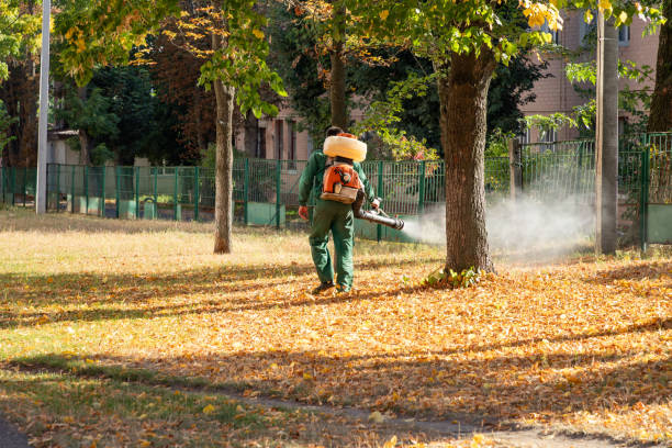Best Best Pest Control Companies  in Manteno, IL