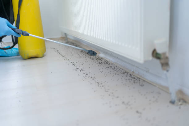 Manteno, IL Pest Control Company