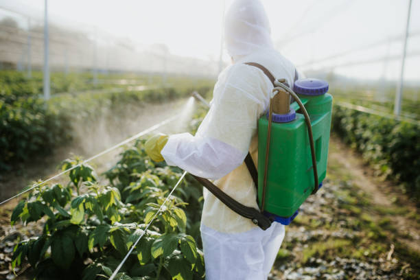 Best Wildlife Control Services  in Manteno, IL